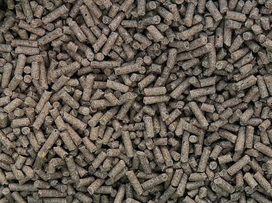 تصویر 2 از کود مرغی برای زمین کشاورزی پایه تغذیه خاک